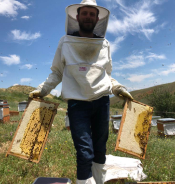 Ana Arı ve Arı Satışı